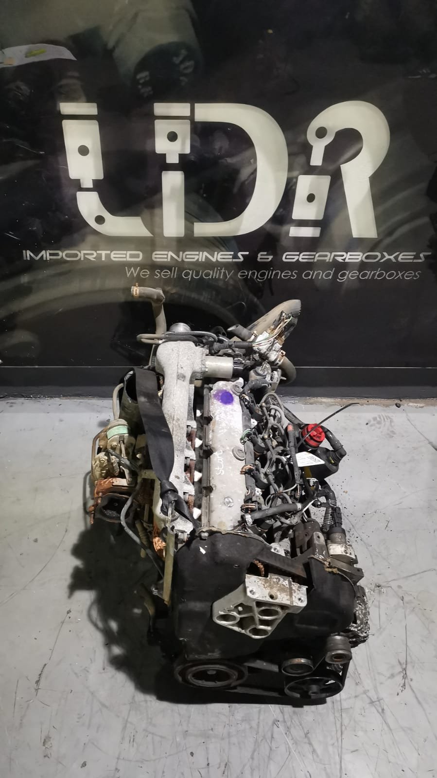 Second image of Renault Nissan Opel 1.9 DCI F9A F9Q F9K Diesel Engine – Low Mileage, UK Import