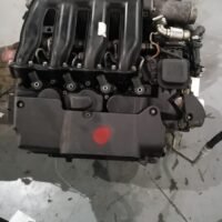 img_2225-1.jpeg